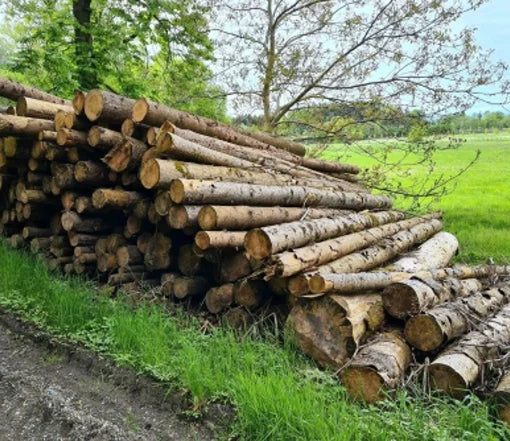 Troncos de abeto – carga completa por camión de 50 metros cúbicos – certificado PEFC