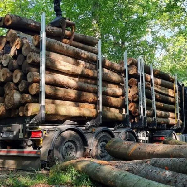 Troncos de madera blanda – Carga completa por camión de 50 metros cúbicos – Certificado PEFC