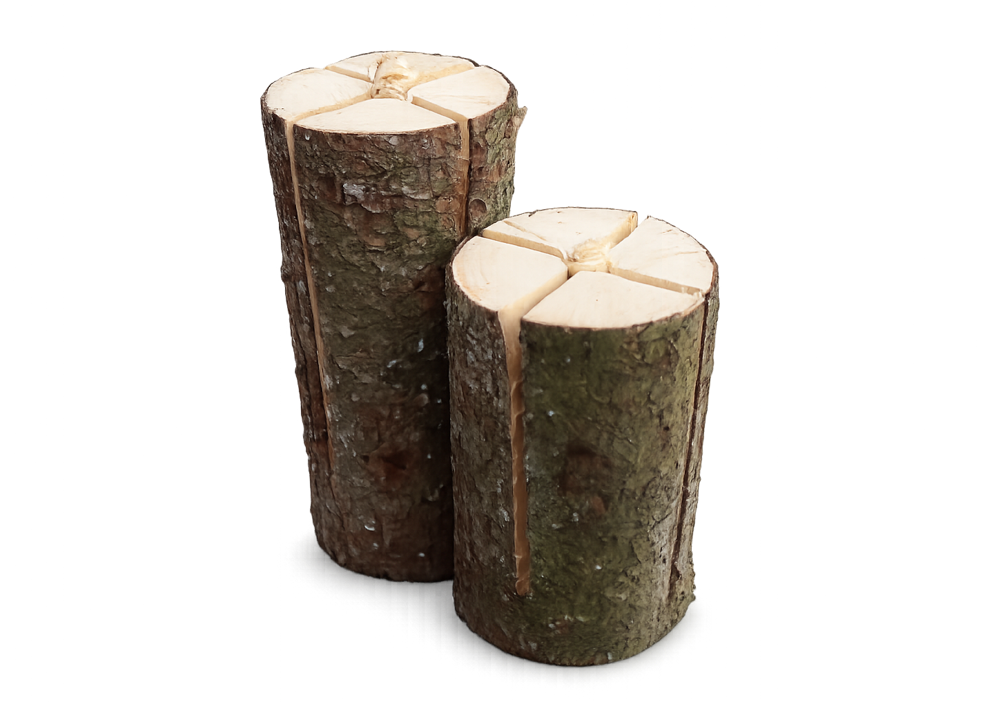 Antorcha de tronco de árbol